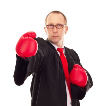 Lawyer with boxing gloves
