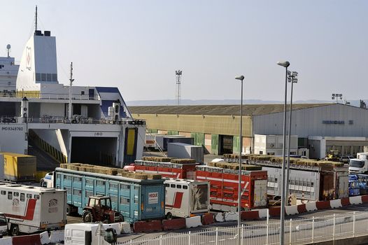 on the port of Marseille 