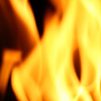 fire flame close up on black background
