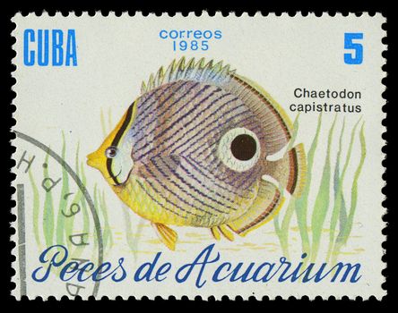 CUBA-CIRCA 1985: A stamp printed in Cuba shows fish Chaetodon capistratus, circa 1985