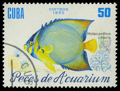 CUBA-CIRCA 1985: A stamp printed in Cuba shows fish Holacanthus ciliaris, circa 1985