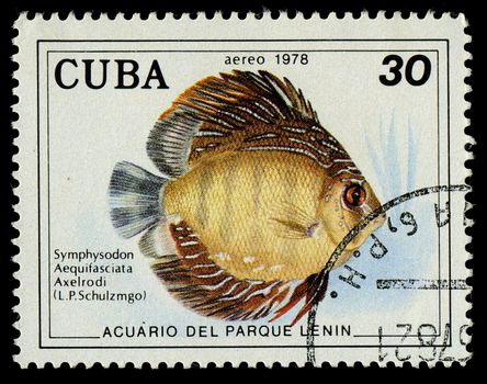 CUBA - CIRCA 1978: A stamp printed in Cuba shows fish Symphysodon Aequifasciata Axelrodi, circa 1978