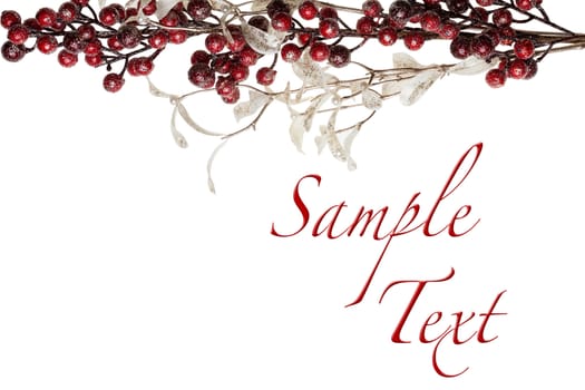 Sparkly Red Berries and Silver Glitter Pearl Leaves Border with Copy Space