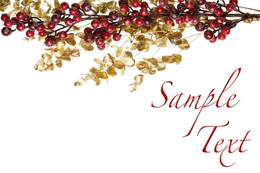 Sparkly Red Berries on Golden Leaves Isolated Border with Copy Space