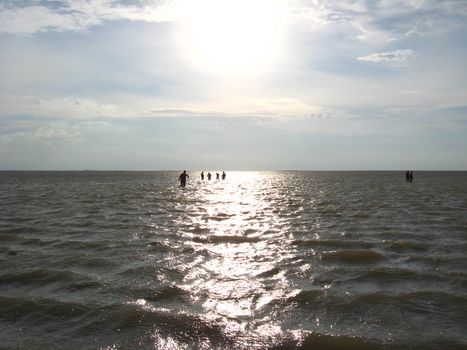 panorama of the sea and people bathing in the sea