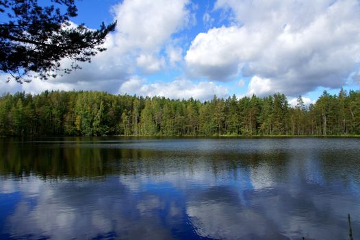 Lake and trees on a background of the blue sky