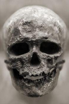 Human anatomy - ancient people skull bone