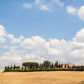 Summer season in Tuscan country, close to Siena