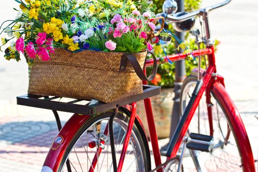 old bicycle and flowers