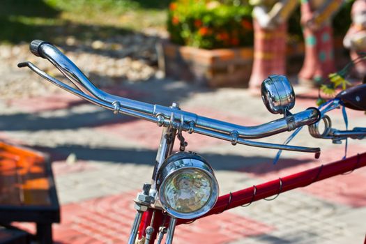 old bicycle and flowers