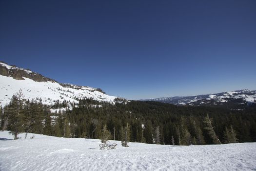 The Sierra Nevadas in the winter at Castle peak.