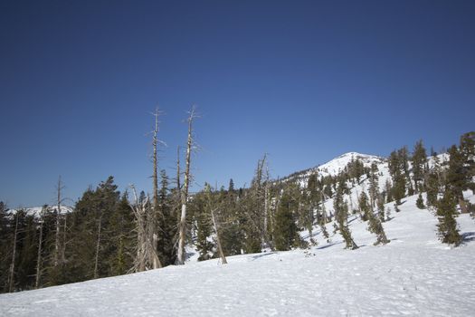 The Sierra Nevadas in the winter at Castle peak.