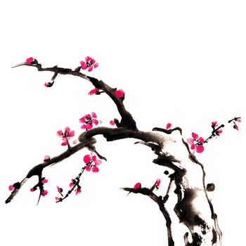Chinese painting of flowers, plum blossom, on white background