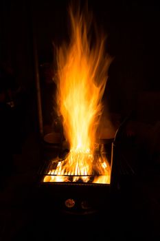 fireplace in wild camping at night