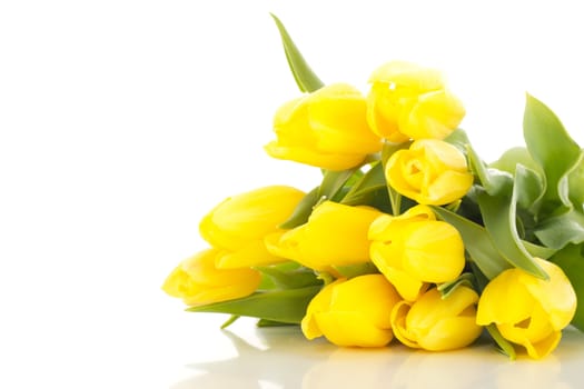 Bunch of tulips