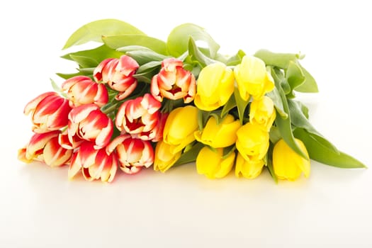 Bunch of tulips