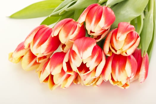 Bunch of tulips