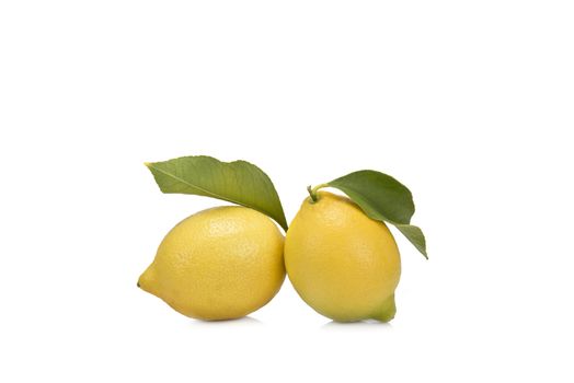 Fresh lemons isolated on a white background