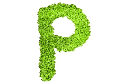 Letter P from green grass
