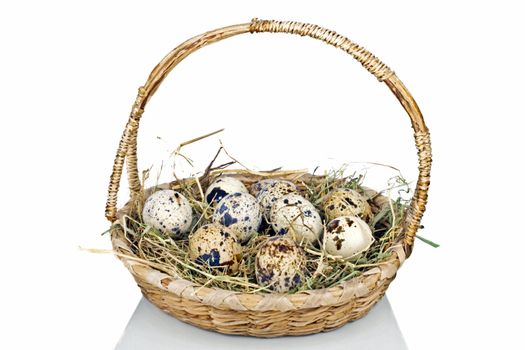 Quail eggs in a basket