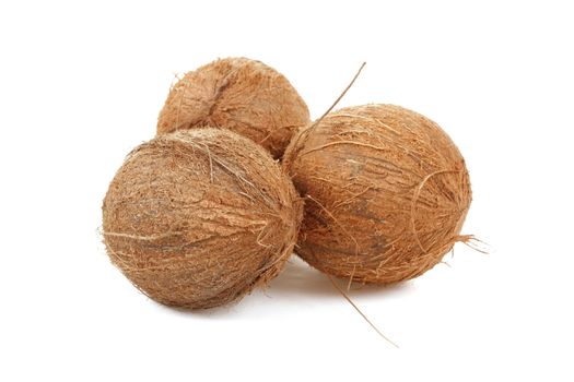 close up view of coconut on a white background 
