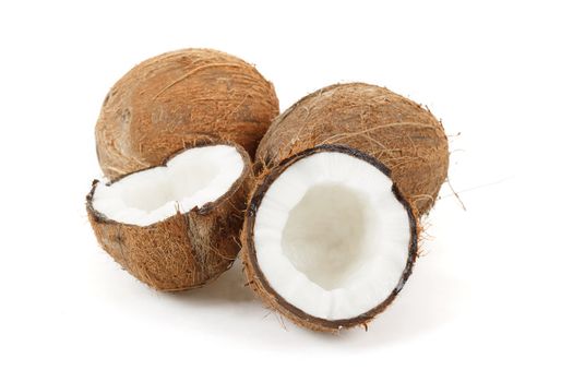 close up view of coconut on a white background 