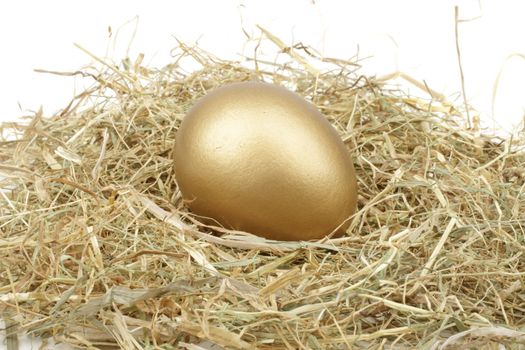 Golden egg in straw