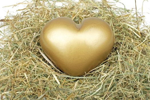 Heart from gold in straw