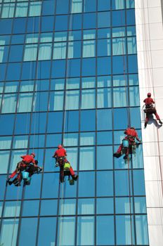 Group of windows washer cleaning the high building glass