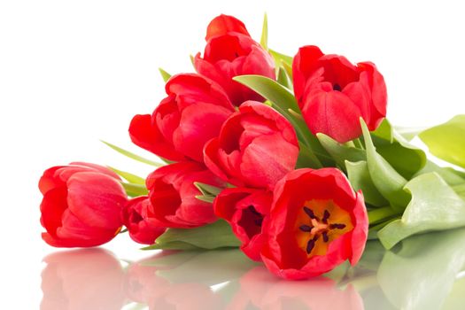 Bunch of tulips