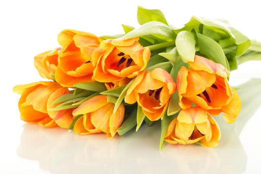 Bunch of tulips