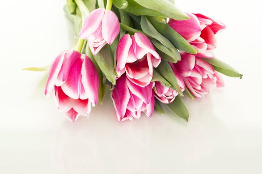Bunch of tulips