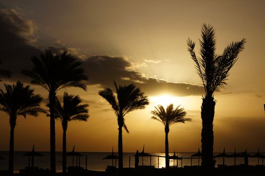 Sunrise over the Red sea egyptian coast