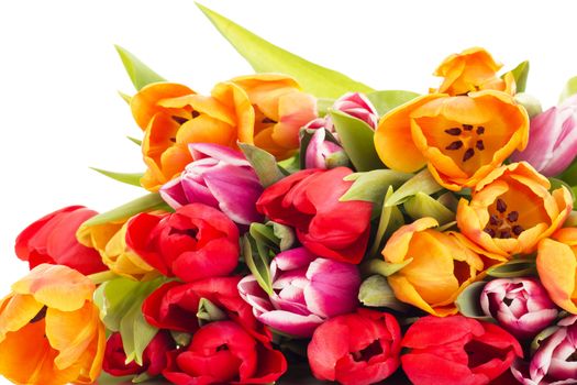 Bunch of tulips