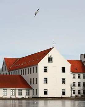white large  traditional house   in denmark a sunny winter day