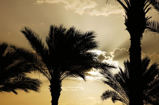 Sunrise over the Red sea egyptian coast