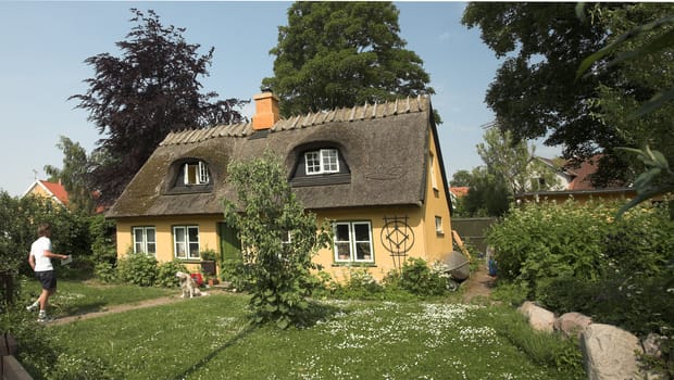 traditional house  with  thatched traditional  roof   in denmark a sunny summer day, a dog on the house path

