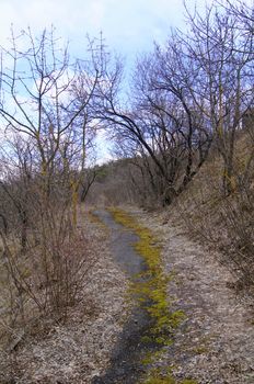 Spring time: road in the open-air enthographical museum in the capital of Republic of Georgia - Tbilisi