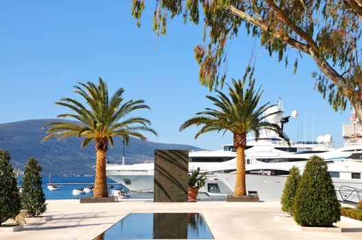 Luxury motor yachts at Porto Montenegro