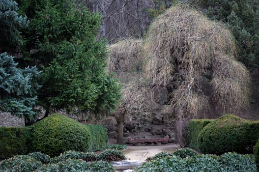 garden bench in Tbilisi botanic garden: spring time