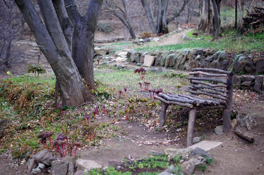 garden bench in Tbilisi botanic garden: spring time
