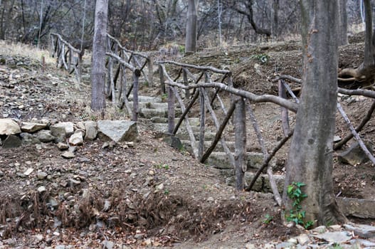 Spring time: step way in the garden