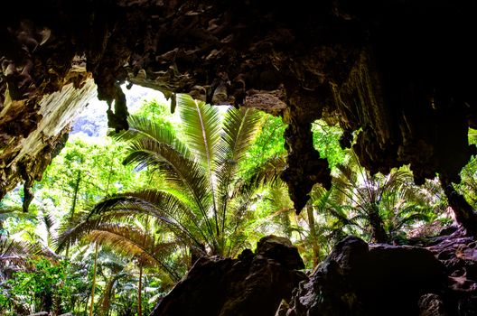 View from cave on rain forest, Hup Pa Tat, Thailand.