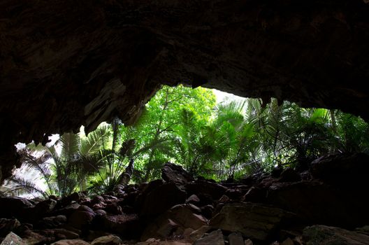 View from cave on rain forest, Hup Pa Tat, Thailand.