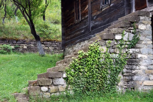 Old stone staeps with ivy plant