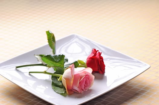 Romantic date with two roses in the plate