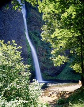 Waterfall in Oregon