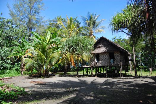 Village house in jungles, Papua New Guinea