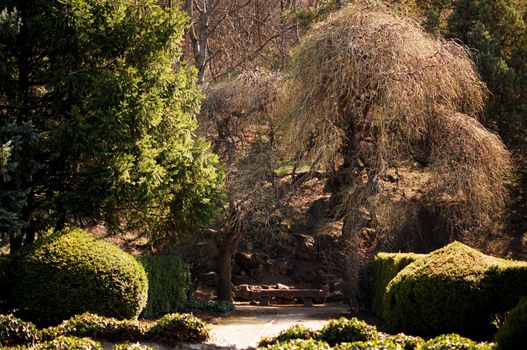 garden bench in Tbilisi botanic garden: spring time