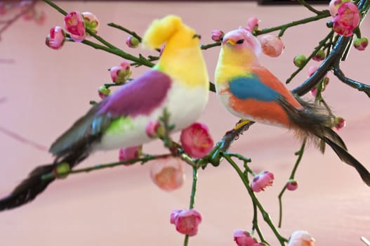 two birds are singing on the branches full of flowers blossom